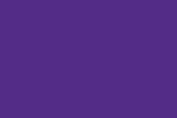 Feutre-pinceau Sign Pen Pentel, Violet