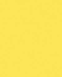 FOLIA® Fotokarton, 300g/qm, 50 x 70 cm, Zitronengelb