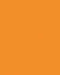 Papier de couleur Folia, 300g/qm, 50 x 70 cm, Ocre