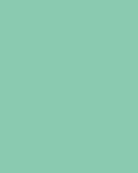 Papier de couleur Folia, 300g/qm, 50 x 70 cm, Menthe