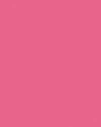 Papier de couleur Folia, 300g/qm, 50 x 70 cm, Vieux rose