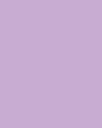 Papier de couleur Folia, 300g/qm, 50 x 70 cm, Violet