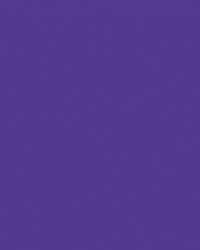 Papier de couleur Folia, 300g/qm, 50 x 70 cm, Violet foncé