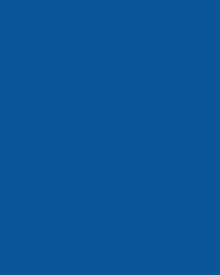 Papier de couleur Folia, 300g/qm, 50 x 70 cm, Bleu royal