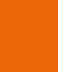 FOLIA® Fotokarton, 300g/qm, 50 x 70 cm, Hellorange