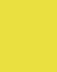 Papier de couleur Folia, 300g/qm, 50 x 70 cm, Citron