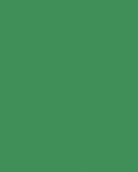 Papier de couleur Folia, 300g/qm, 50 x 70 cm, Vert mousse