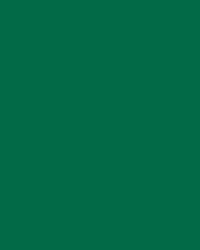 Papier de couleur Folia, 300g/qm, 50 x 70 cm, Vert sapin