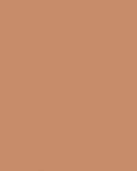 Papier de couleur Folia, 300g/qm, 50 x 70 cm, Brun clair