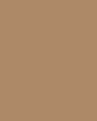 FOLIA® Fotokarton, 300g/qm, 50 x 70 cm, Rehbraun