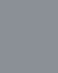 Papier de couleur Folia, 300g/qm, 50 x 70 cm, Gris pierre