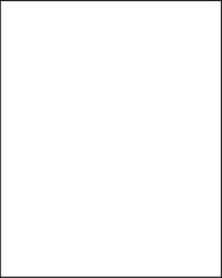 Papier de couleur Folia, 300g/qm, 50 x 70 cm, Blanc