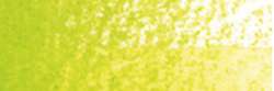 Crayon aquarellable Holbein, Vert feuille