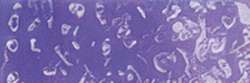 HOLBEIN Künstlerfarbstifte, Violet