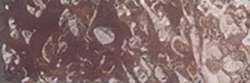 HOLBEIN Künstlerfarbstifte, Burnt Umber