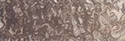HOLBEIN Künstlerfarbstifte, Sepia