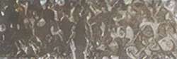 HOLBEIN Künstlerfarbstifte, Olive Drab