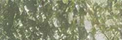 HOLBEIN Künstlerfarbstifte, Olive Green