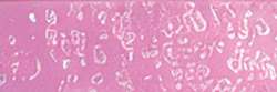 HOLBEIN Künstlerfarbstifte, Mauve