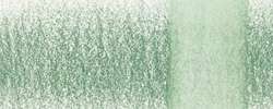 Crayons aquarellables Chromaqua Derwent, Cactus