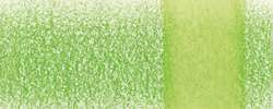 DERWENT Chromaqua Aquarellstift, Grass Green 1800