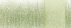DERWENT Chromaqua Aquarellstift, Lincoln Green 1832