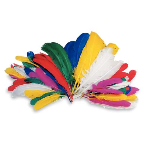 Plumes d'oie de couleurs 