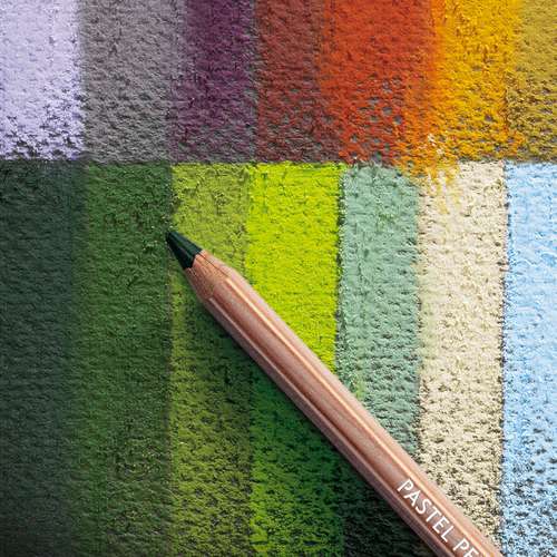 Carand'Ache crayons couleur pastel sec boîte de 12