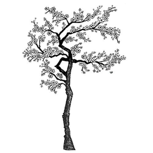 Lavinia Stempel, Cherry Blossom Tree 