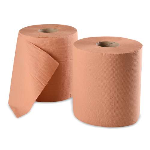 Lot de 2 rouleaux de papier chamois 