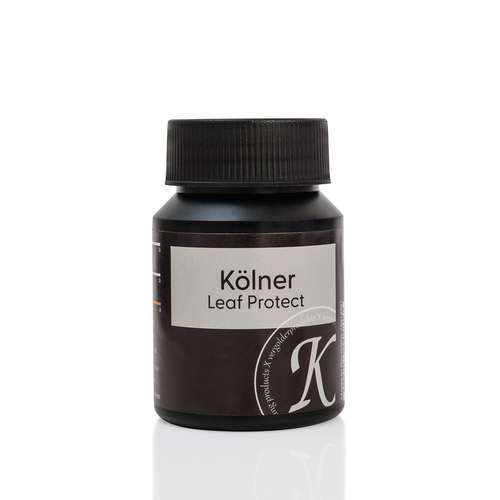 Vernis pour intérieur transparent Kölner leaf protect 