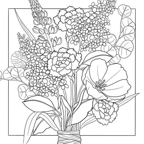 morepic-4